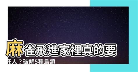 麻雀飛進家裡號碼|【家裡飛進麻雀】家裡飛進麻雀！風水大解析，暗示了什麼美好的。